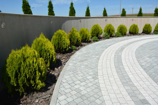 Best Affordable Driveway Pavers  in Ida Grove, IA